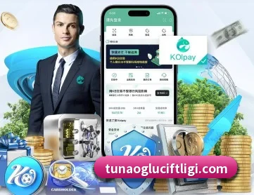 半岛网页版登录入口 APP